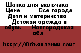 Шапка для мальчика › Цена ­ 400 - Все города Дети и материнство » Детская одежда и обувь   . Новгородская обл.